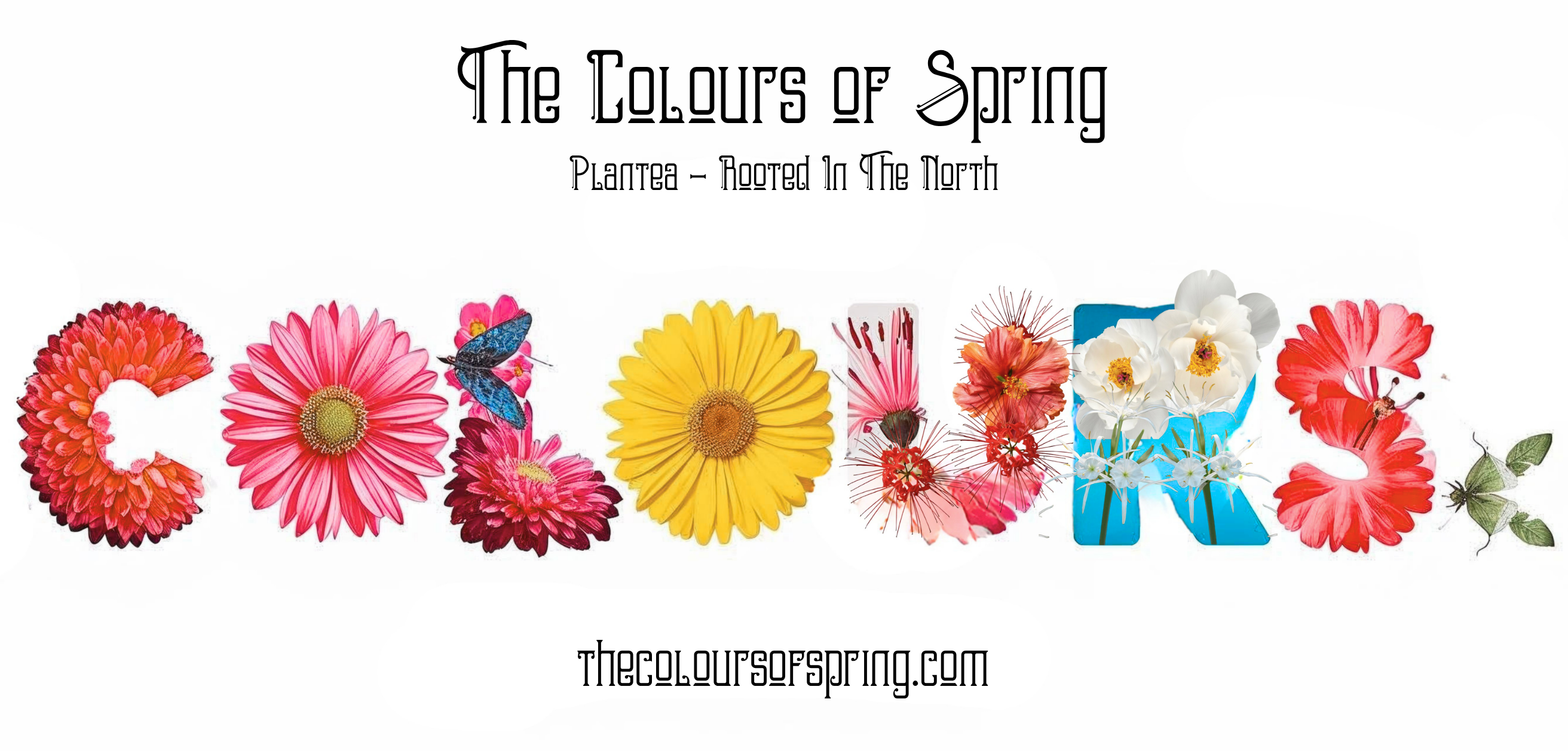 The Colours of Spring